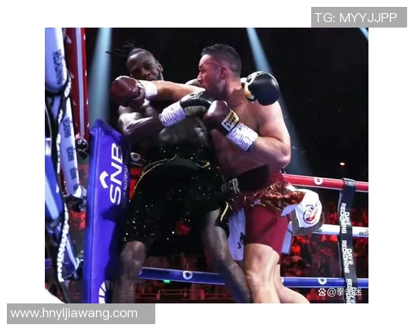 帕克与怀特的巅峰对决谁能在拳坛中脱颖而出